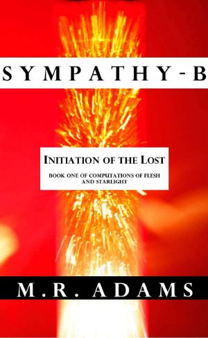 [Computations of Flesh and Starlight 01] • Sympathy-B · Initiation of the Lost